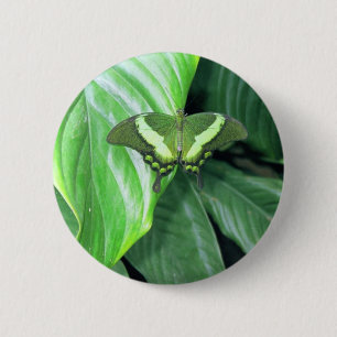 Green Butterfly 2 Inch Round Button