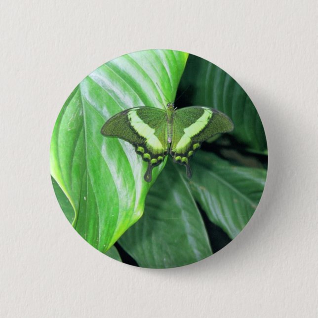 Green Butterfly 2 Inch Round Button (Front)