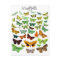 Green Butterfly Collection