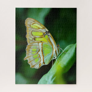 Green Butterfly Jigsaw Puzzle