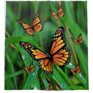 green butterfly shower curtain