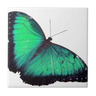 Green Butterfly Tile