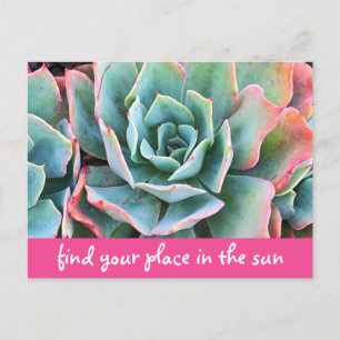 Green Cacti Photo Find Your Place In Sun Script Postcard