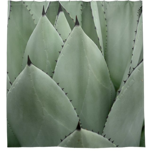 Green cactus (Front)