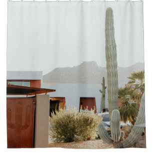 Green cactus beside houses in the morning