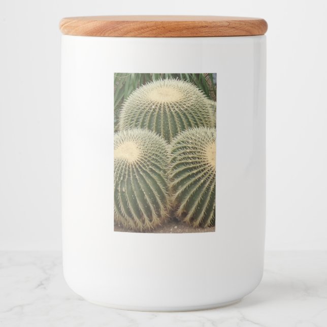 Green Cactus Food Container Label (Front)
