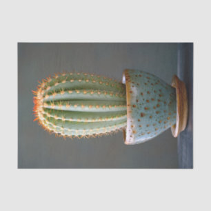 Green Cactus in a Teal Ceramic Pot Decoupage Tissue Paper