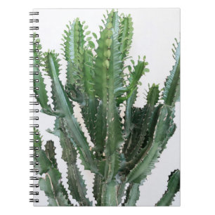 Green Cactus: Minimalist White Background Notebook