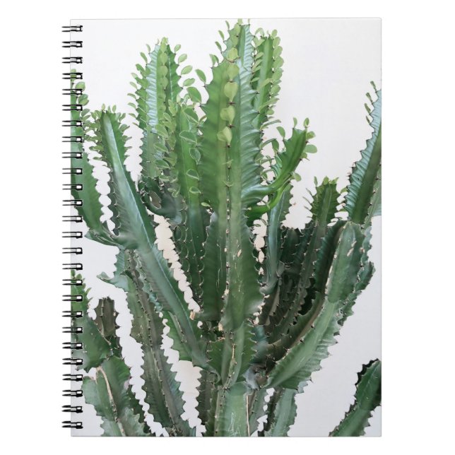 Green Cactus: Minimalist White Background Notebook (Front)