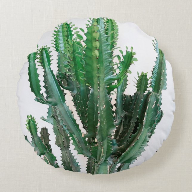 Green cactus on white background. round pillow (Front)