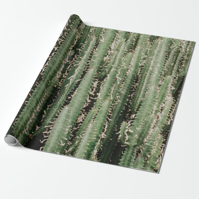 Green cactus plant close-up photo wrapping paper (Unrolled)