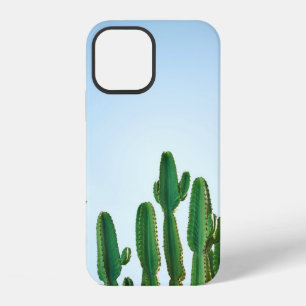 Green cactus plant in white background iPhone 12 case