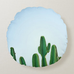 Green cactus plant in white background round pillow