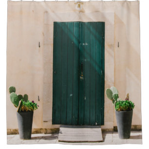 GREEN CACTUS PLANT NEAR GREEN DOOR