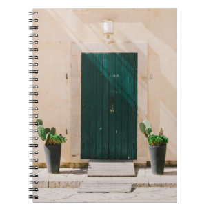 GREEN CACTUS PLANT NEAR GREEN DOOR NOTEBOOK