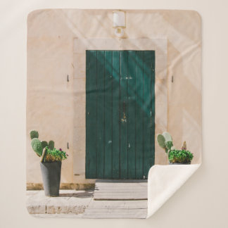 GREEN CACTUS PLANT NEAR GREEN DOOR SHERPA BLANKET
