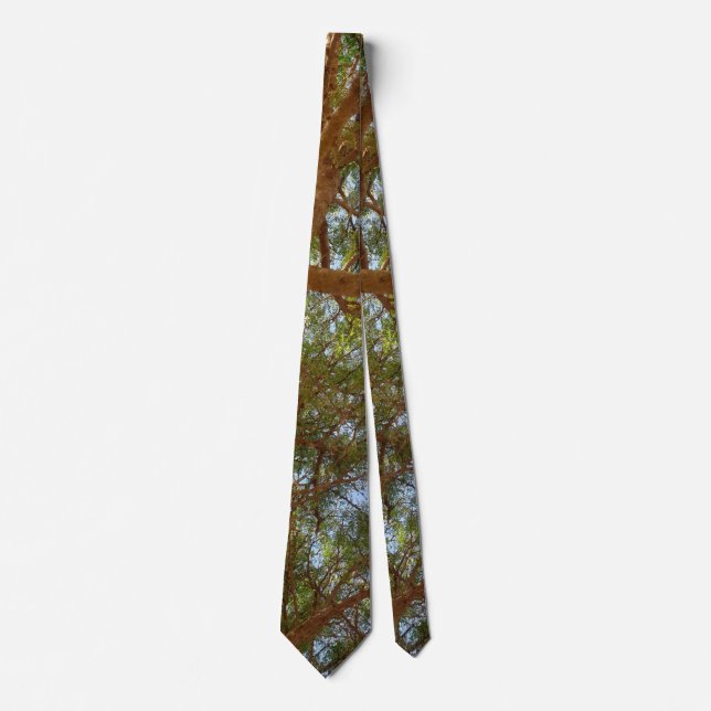 Green Canopy Tree Branches in Blue Sky Tie (Front)