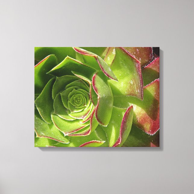 Green Canvas Print (Front)