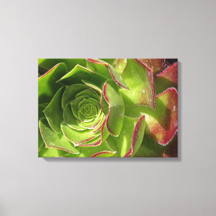Green Canvas Print