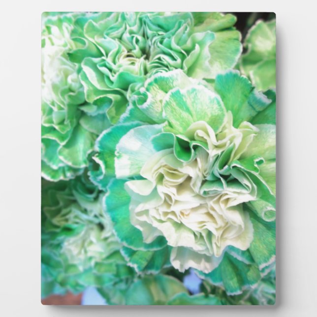 Green Carnation Plaque (Front)