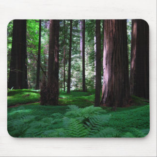 Green Carpet of the Redwoods Mouse Pad