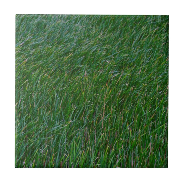 Green carpet  tile (Front)