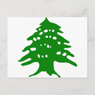 Green Cedar / Lebanon Cedar Postcard