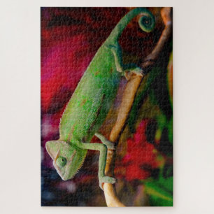 Green chameleon on the branch jigsaw puzzle