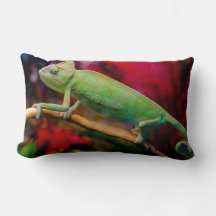 Green chameleon on the branch