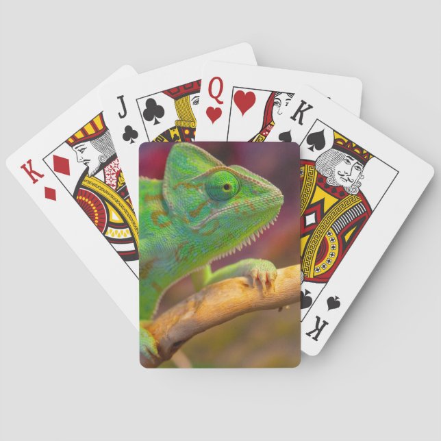 Green Chameleon Playing Cards (Back)