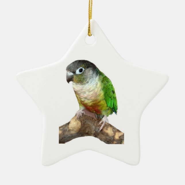 Green Cheek Conure Ceramic Ornament (Front)