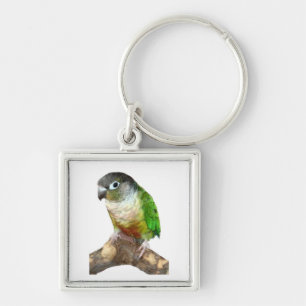 Green Cheek Conure Keychain