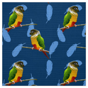 Green Cheek Conure Parakeet Fun Bird Blue Feathers Fabric