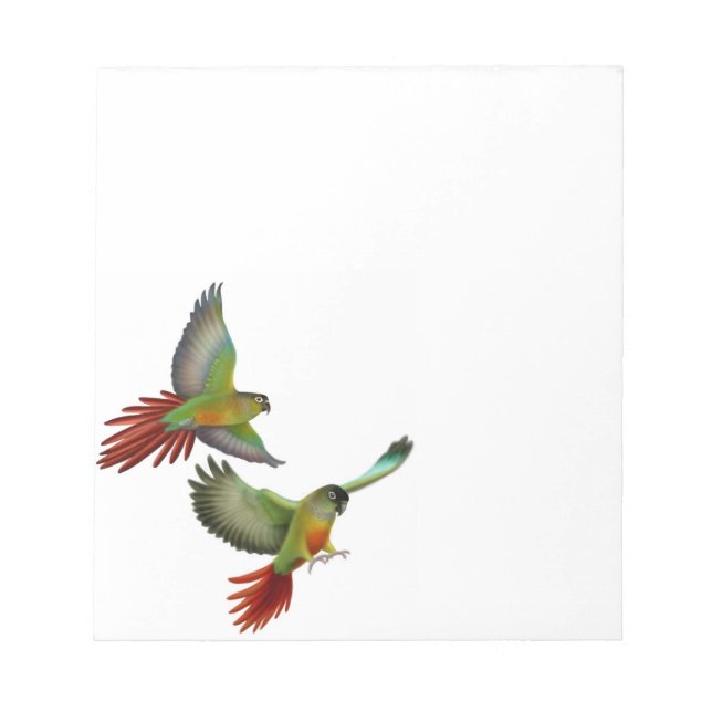 Green Cheek Conure Parrots Notepad (Front)