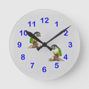 Green Cheek Conure Wall Clock