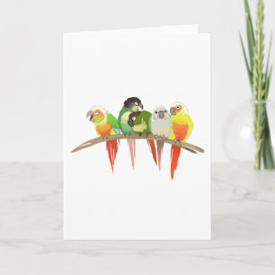 Green Cheek Conures Card