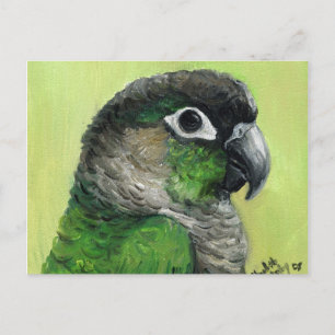 "Green Cheeked Conure" Bird Art Postcard