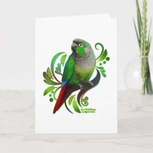 Green Cheeked Conure Card