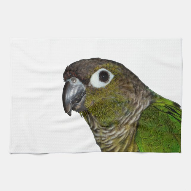 Green Cheeked Conure Kitchen Towel (Horizontal)