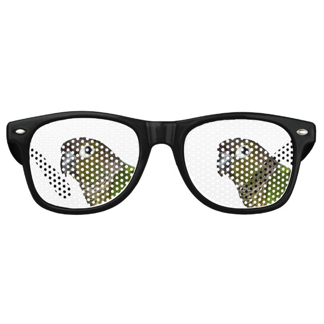 Green Cheeked Conure Retro Sunglasses (Front)