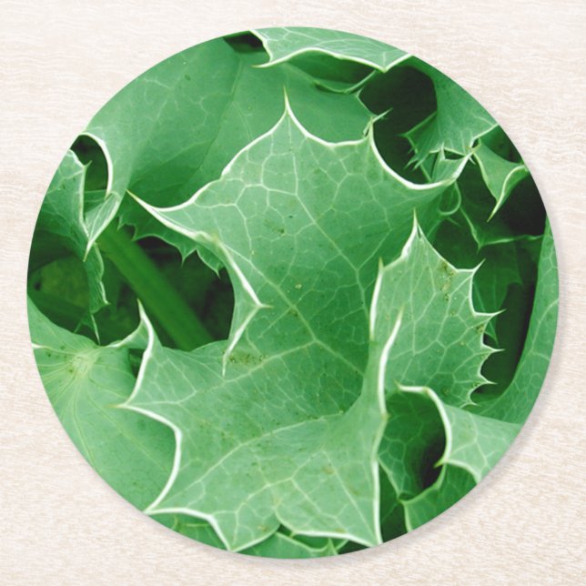 Green Christmas Holly Round Paper Coaster (Front)