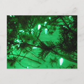 Green Christmas Lights Holiday Postcard