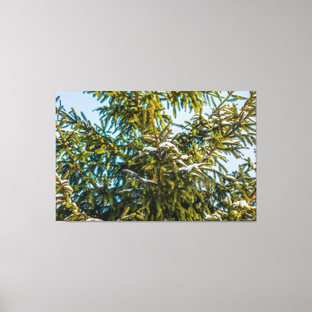 Green Christmas Tree In Snow Canvas Print (Front)