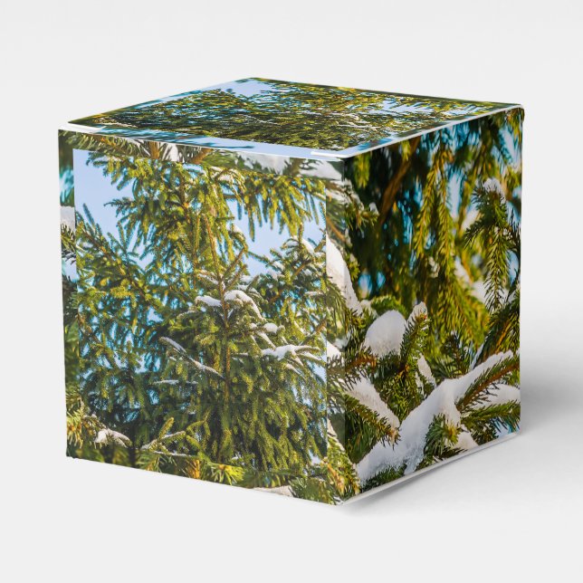 Green Christmas Tree In Snow Favor Box (Front Side)