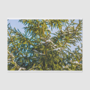 Green Christmas Tree In Snow Tissue Paper