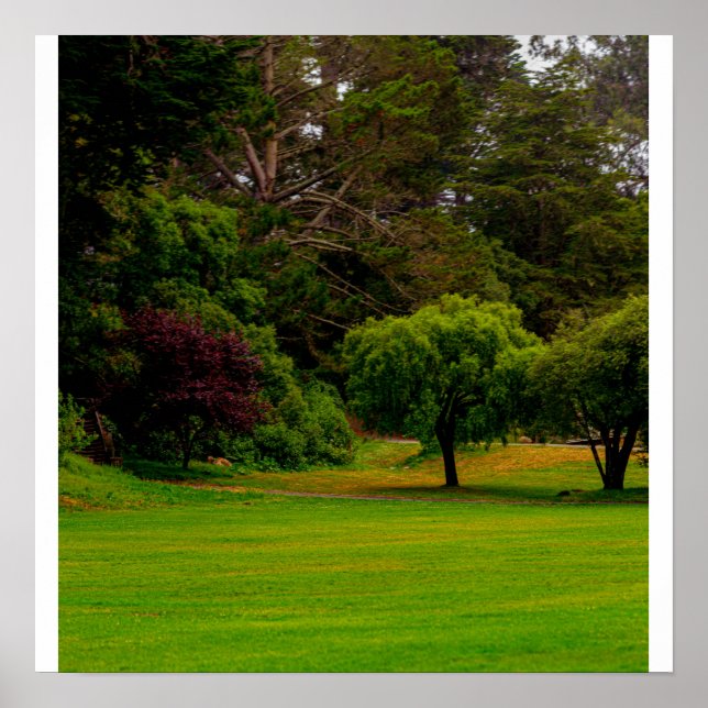 Green Clearing Poster (Front)