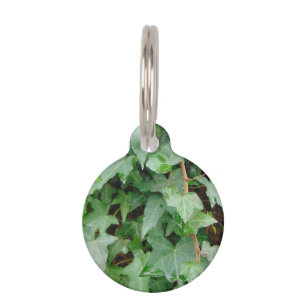 Green Climbing Ivy 0237 Pet Tag