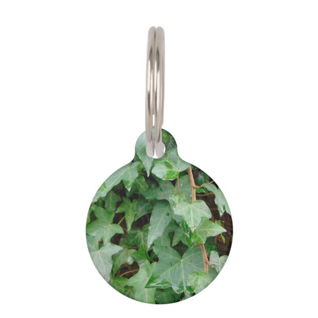 Green Climbing Ivy 0237 Pet Tag (Front)