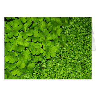 Green Clover