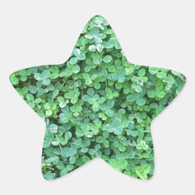 Green Clover Nature Photo Star Sticker (Front)